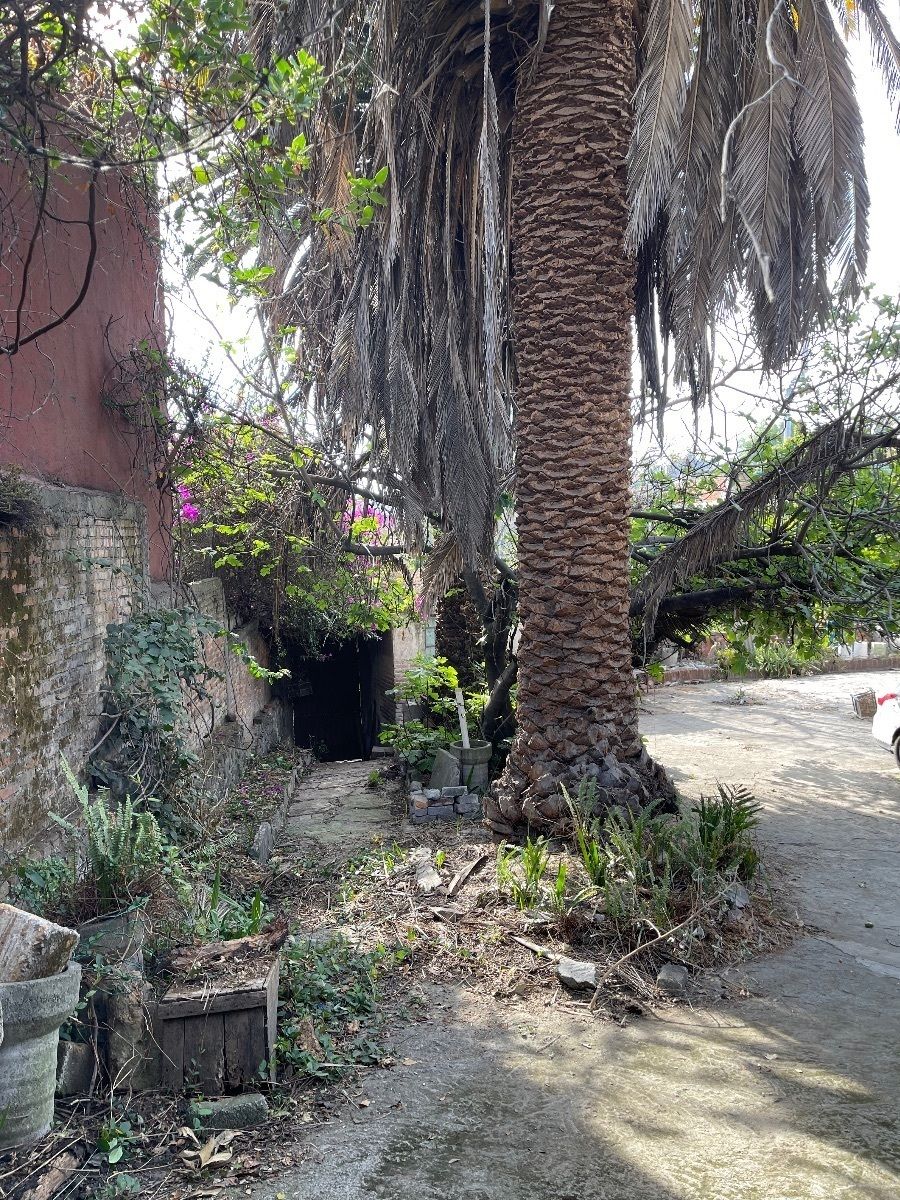 Lote en venta · San Jerónimo Lídice, La Magdalena Contreras, Ciudad de México