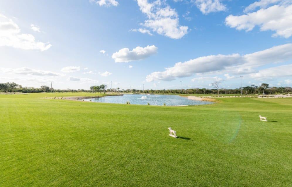 Lote en venta · Mérida, Yucatán