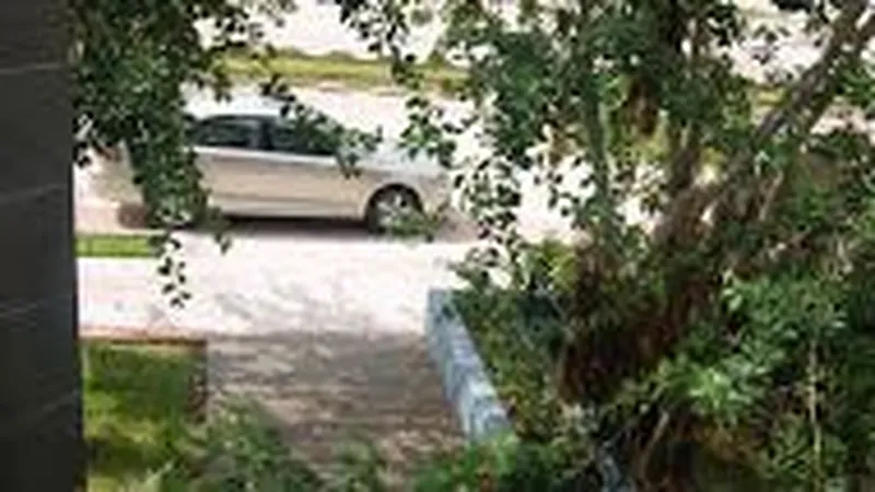 Foto 38