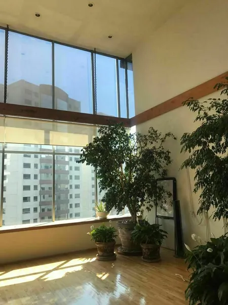 Foto 21