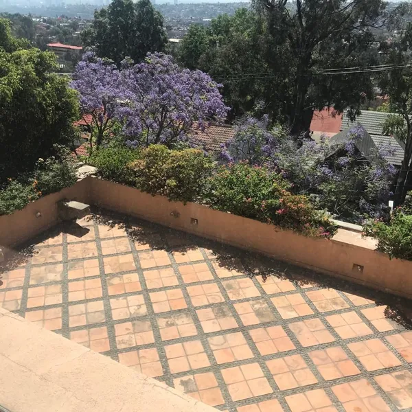 Foto 16