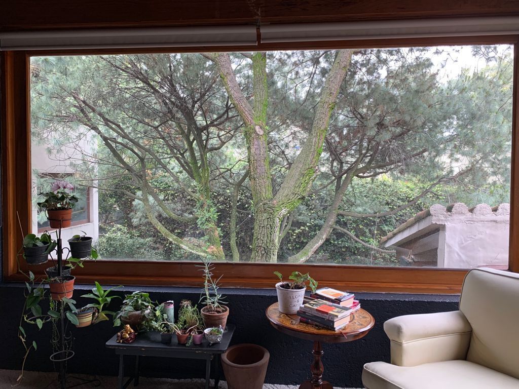 Foto 22