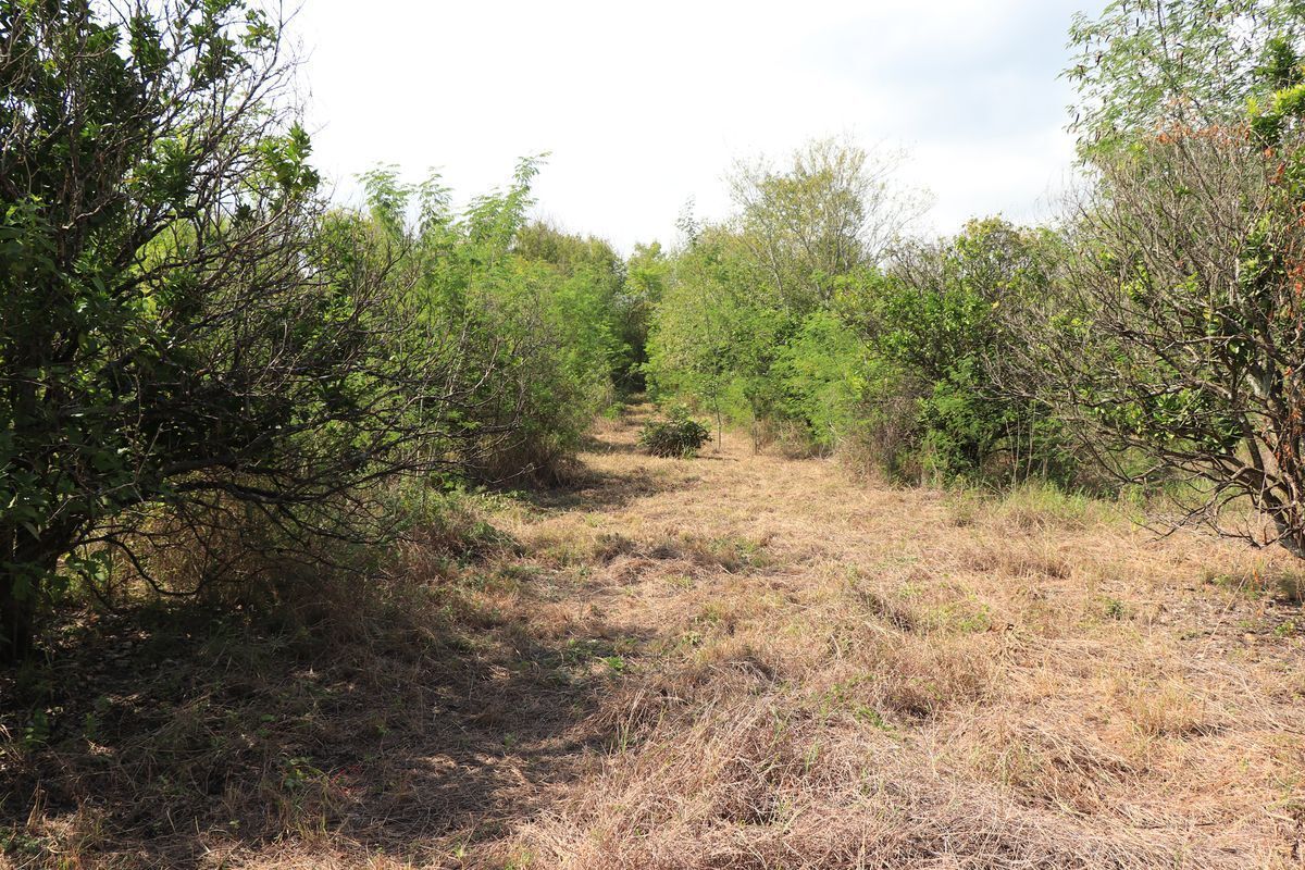 Lote en venta · Gil de Leyva, Montemorelos, Nuevo León