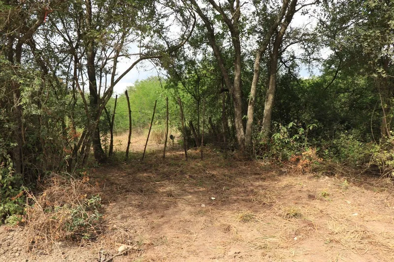 Foto 11