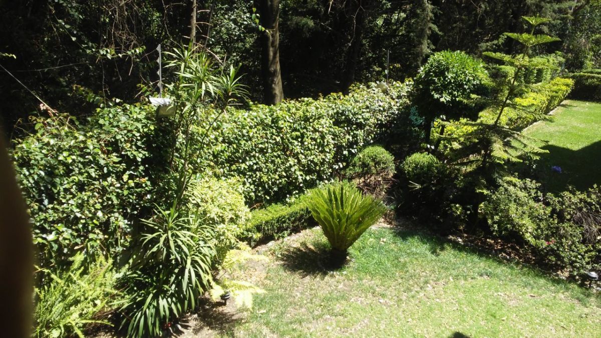 Foto 13