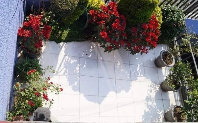 Foto 8