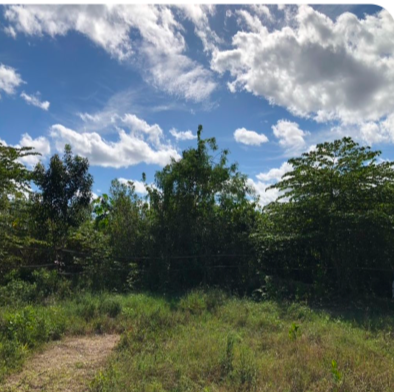 Lote en venta · Cancún Centro, Cancún, Benito Juárez, Quintana Roo