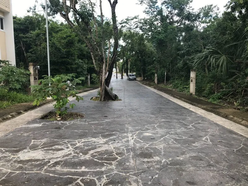 Foto 7