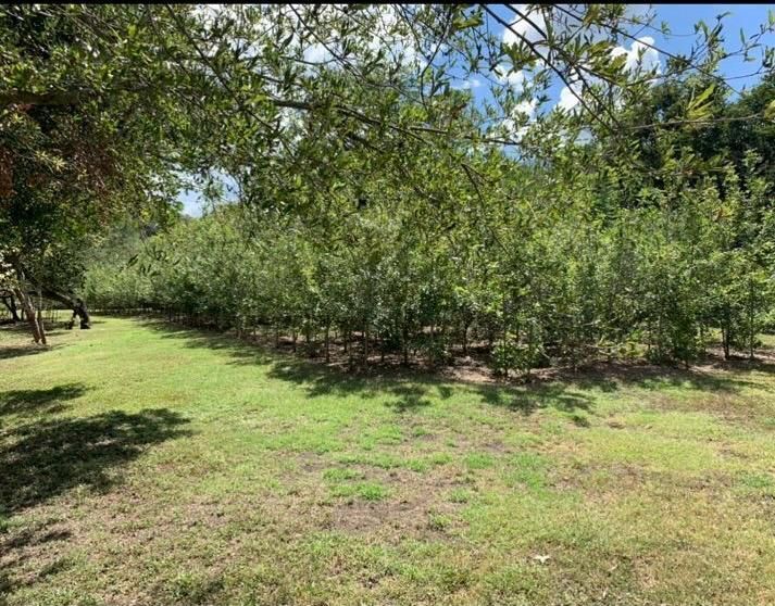 Lote en venta · Montemorelos, Nuevo León