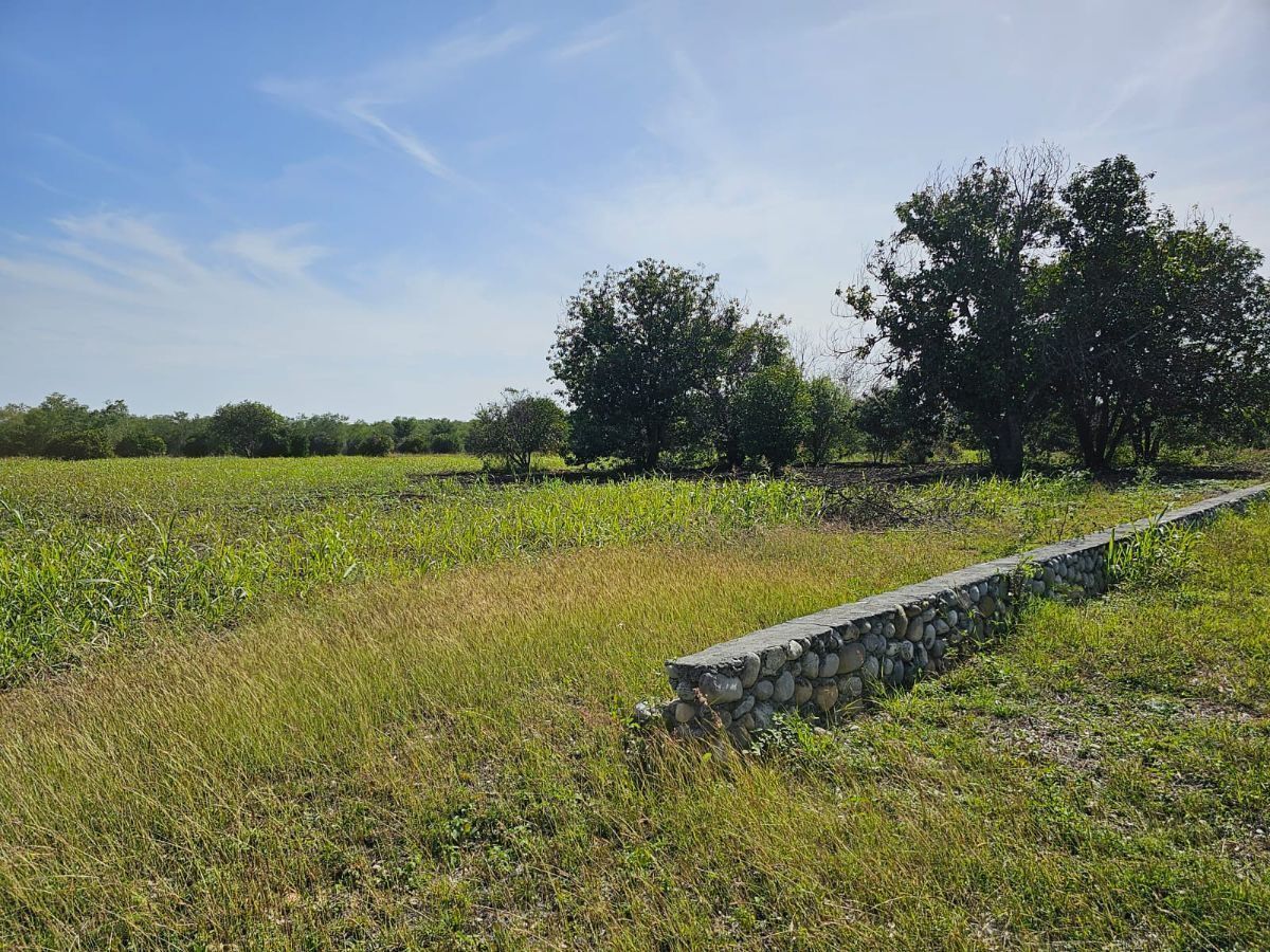 Lote en venta · Montemorelos Centro, Montemorelos, Nuevo León