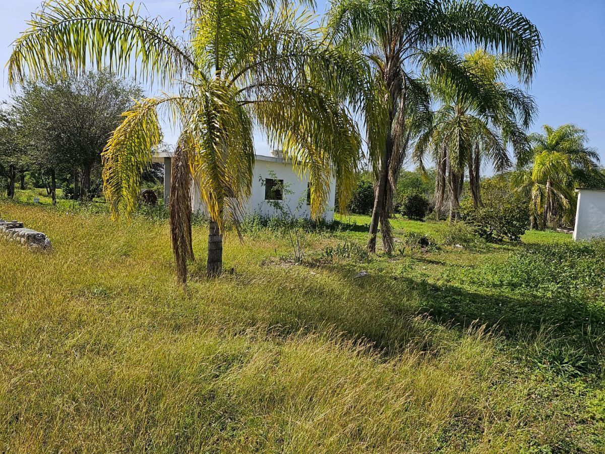 Lote en venta · Montemorelos Centro, Montemorelos, Nuevo León
