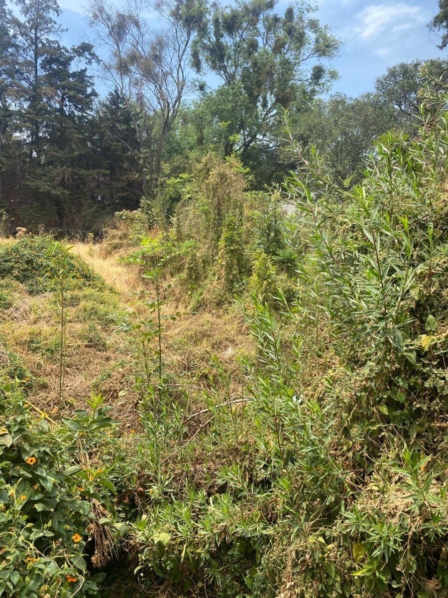 Lote en venta · San Jerónimo Lídice, La Magdalena Contreras, Ciudad de México
