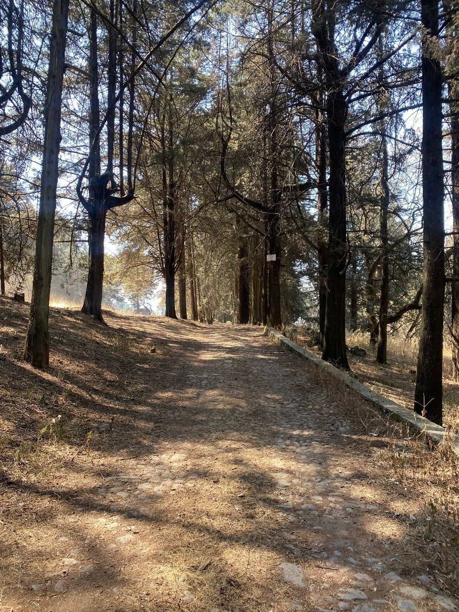 Lote en venta · Centro Ocoyoacac, Ocoyoacac, Estado de México