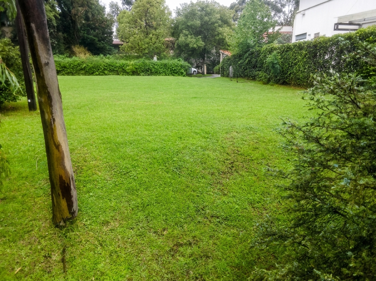 Lote en venta · San Bartolo Ameyalco