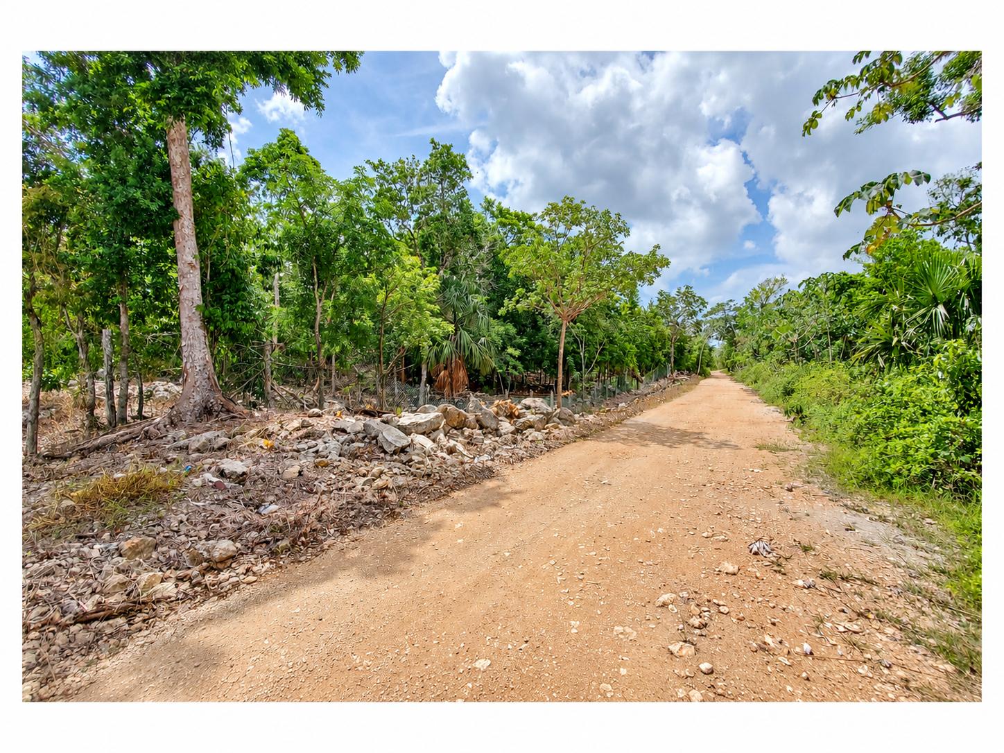 Lote en venta · Playa del Carmen, Solidaridad, Quintana Roo