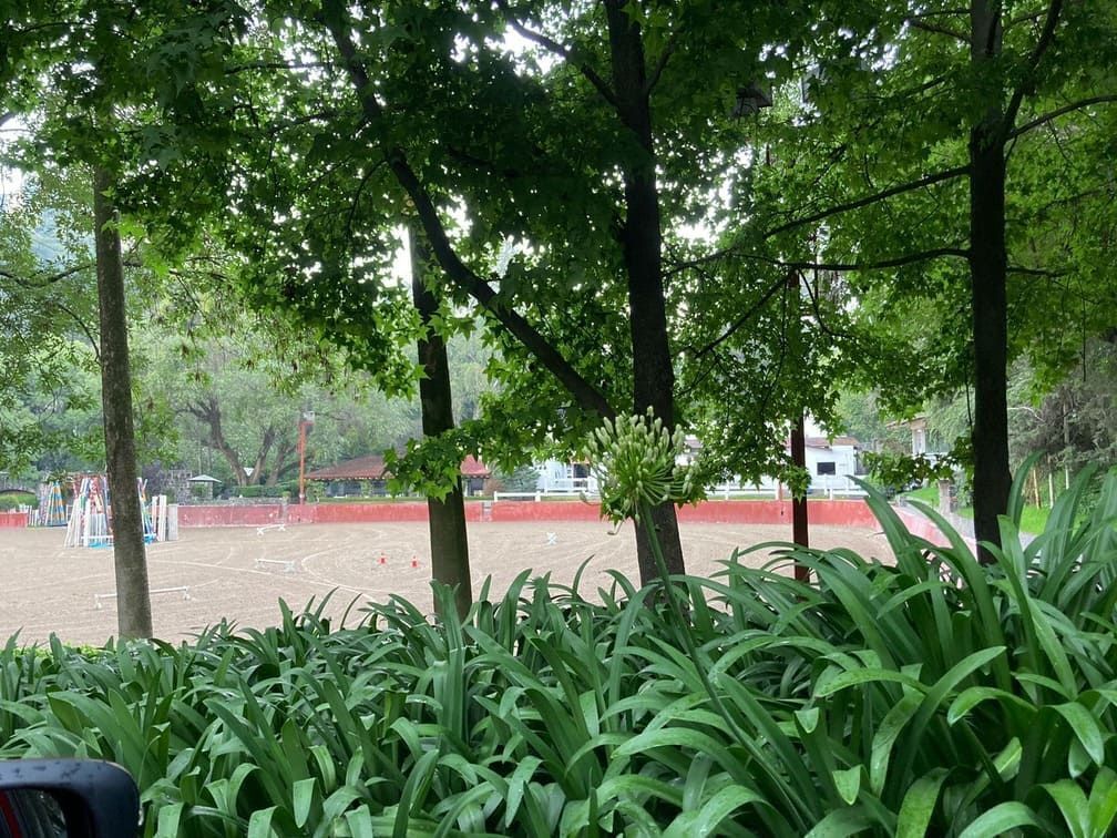 Foto 18