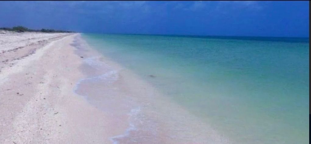 Lote en venta · Pueblo San Bruno, Telchac Puerto, Yucatán