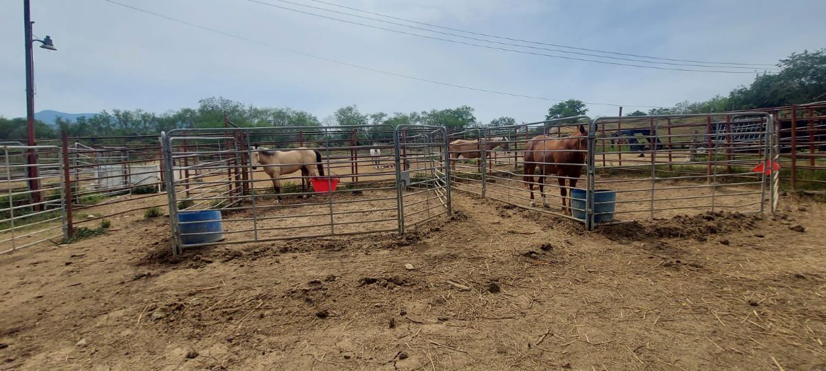 Lote en venta · Canoas, Montemorelos, Nuevo León