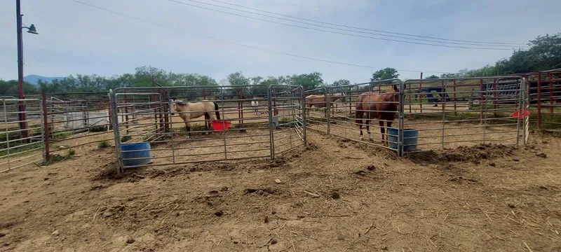 Lote en venta · Canoas, Montemorelos, Nuevo León