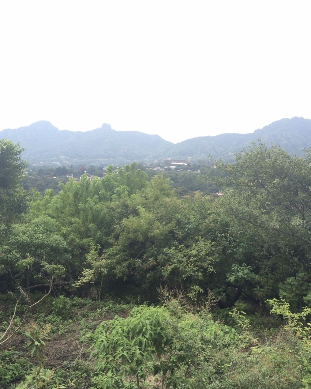 Lote en venta · Tierra Blanca, Tepoztlán, Morelos