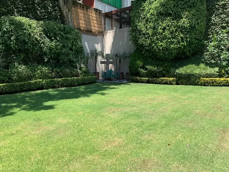 Foto 12
