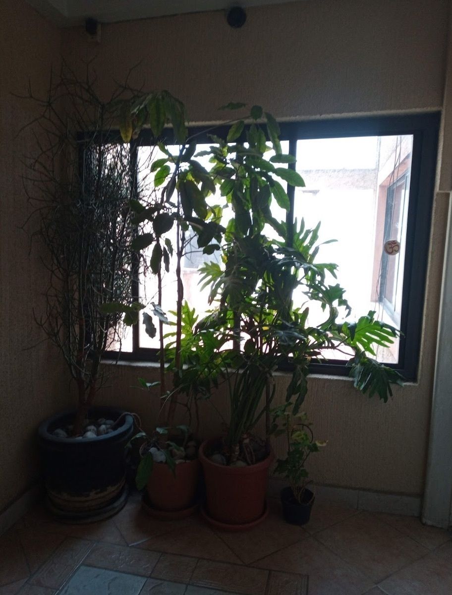 Foto 28