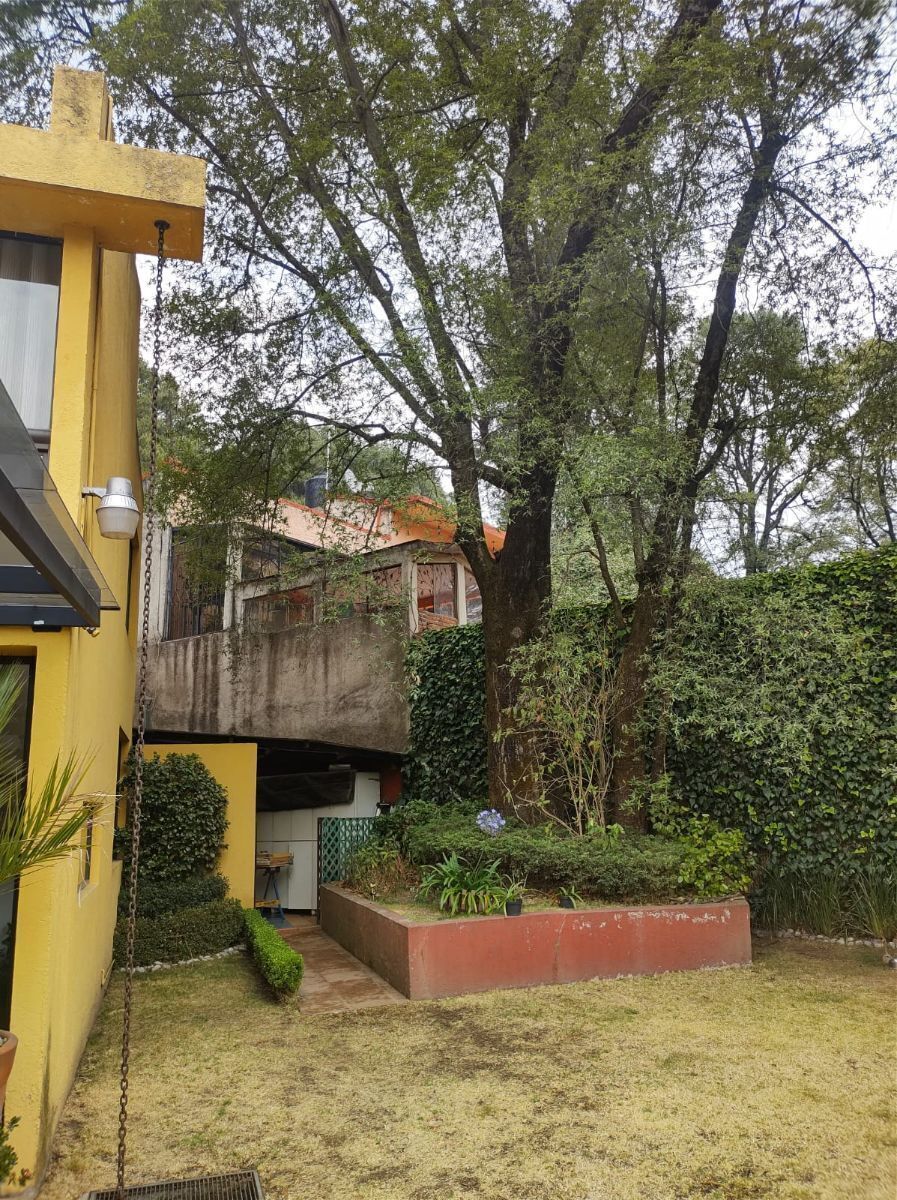 Foto 6