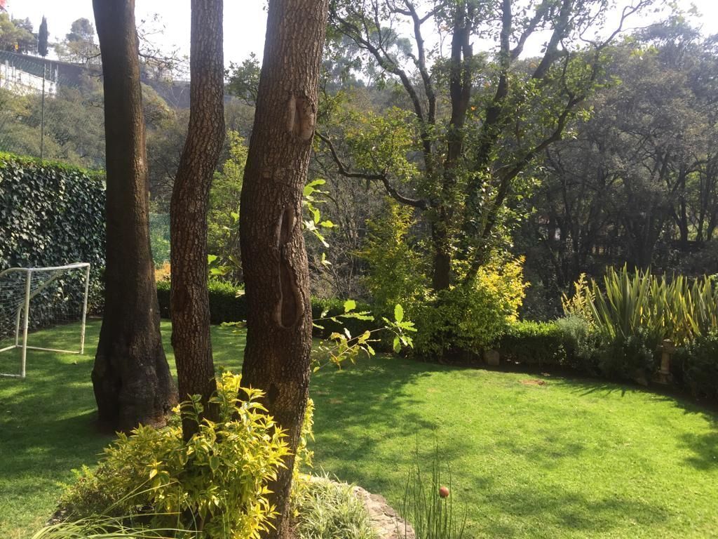 Foto 35