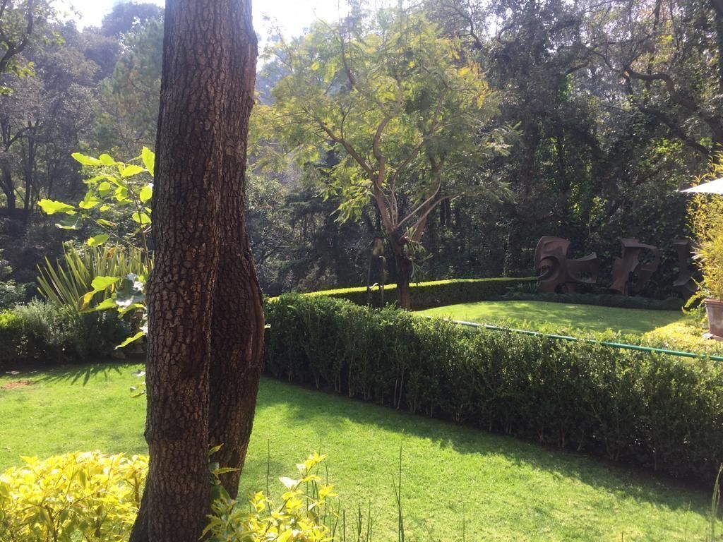 Foto 37