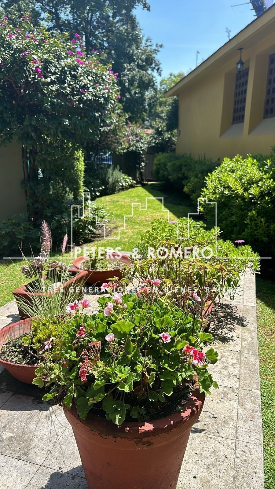 Foto 41