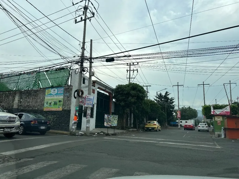 Foto 50