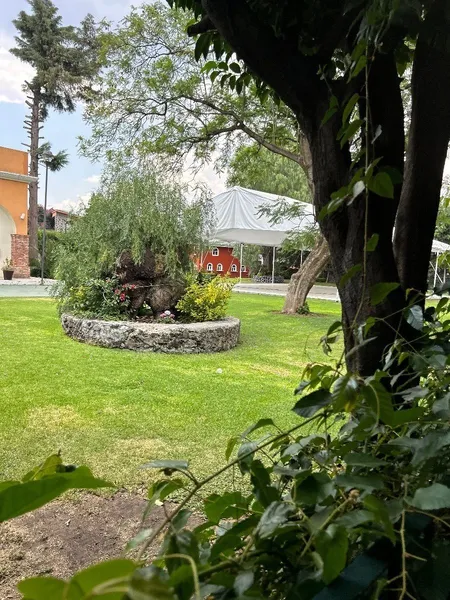 Foto 45