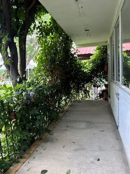 Foto 43