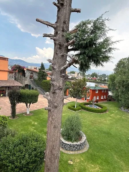 Foto 6