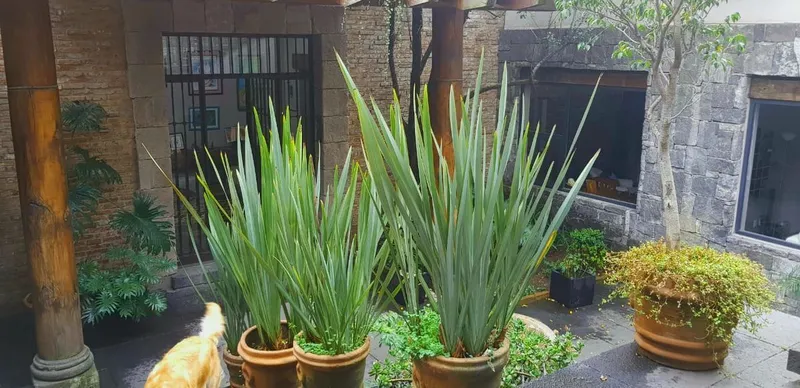 Casa en venta · Lomas Altas, Miguel Hidalgo, Ciudad de México Casa en venta · Lomas Altas, Miguel Hidalgo, Ciudad de México