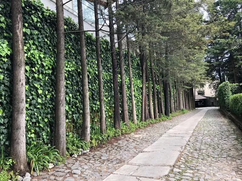 Condominio en venta · Contadero, Cuajimalpa de Morelos, Ciudad de México