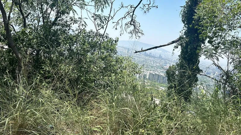Lote en venta · Valle de San Ángel, San Pedro Garza García, Nuevo León Lote en venta · Valle de San Ángel, San Pedro Garza García, Nuevo León