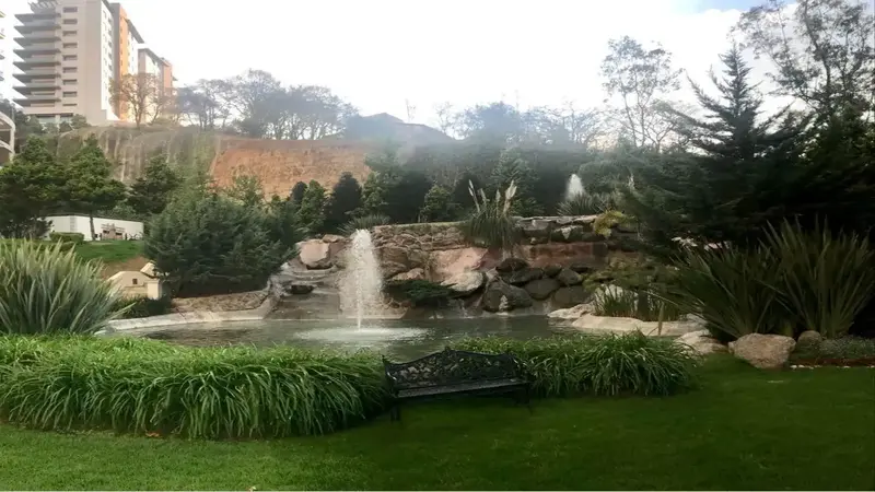 Foto 12