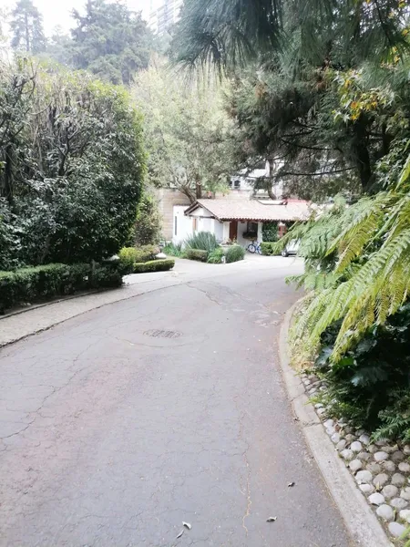 Foto 39