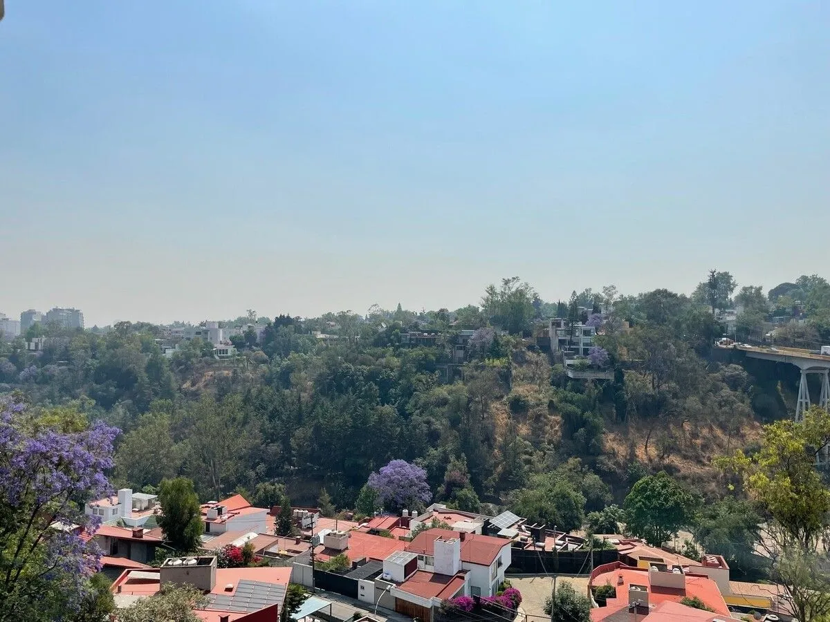 Foto 42