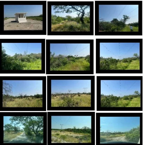 Foto 8