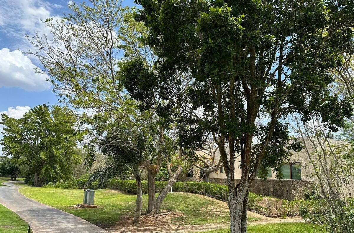 Lote en venta · Chablekal, Mérida, Yucatán