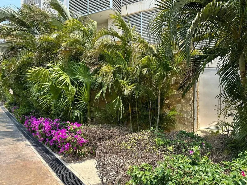 Foto 21