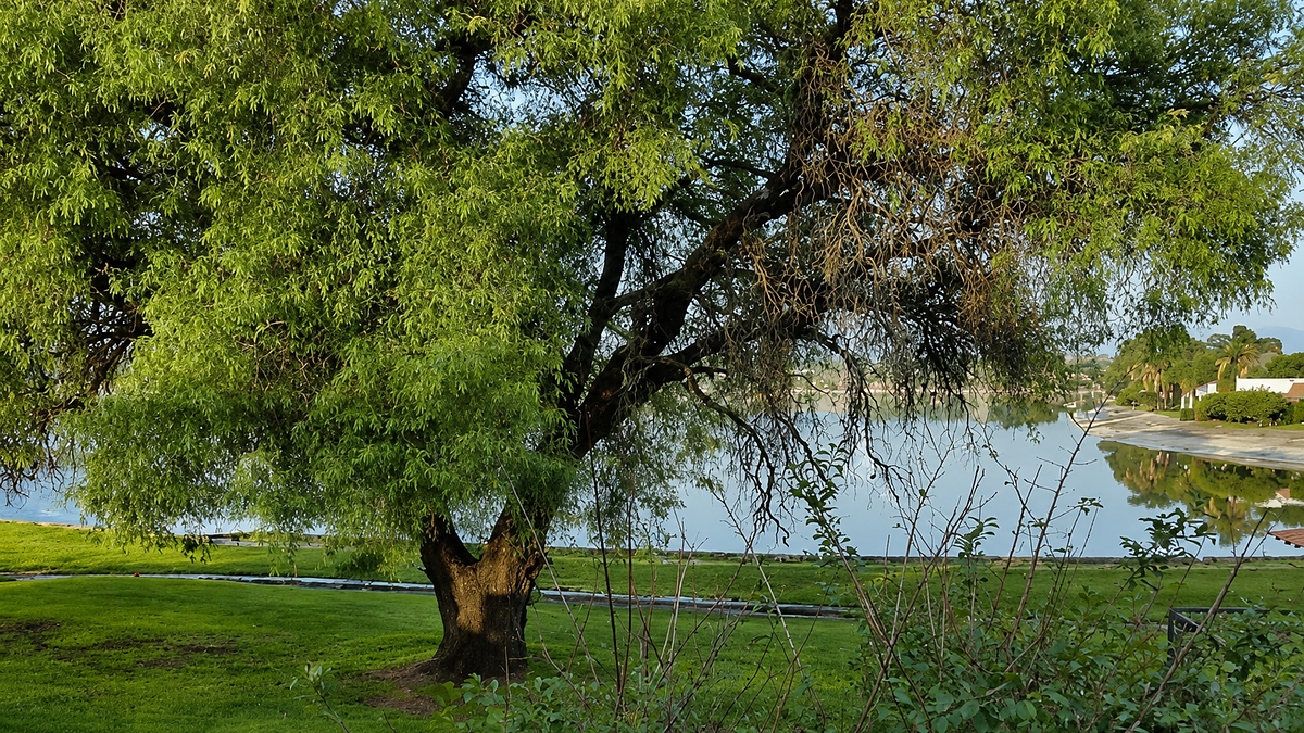 Foto 20