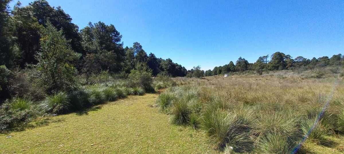 Lote en venta · Salazar, Lerma, Estado de México