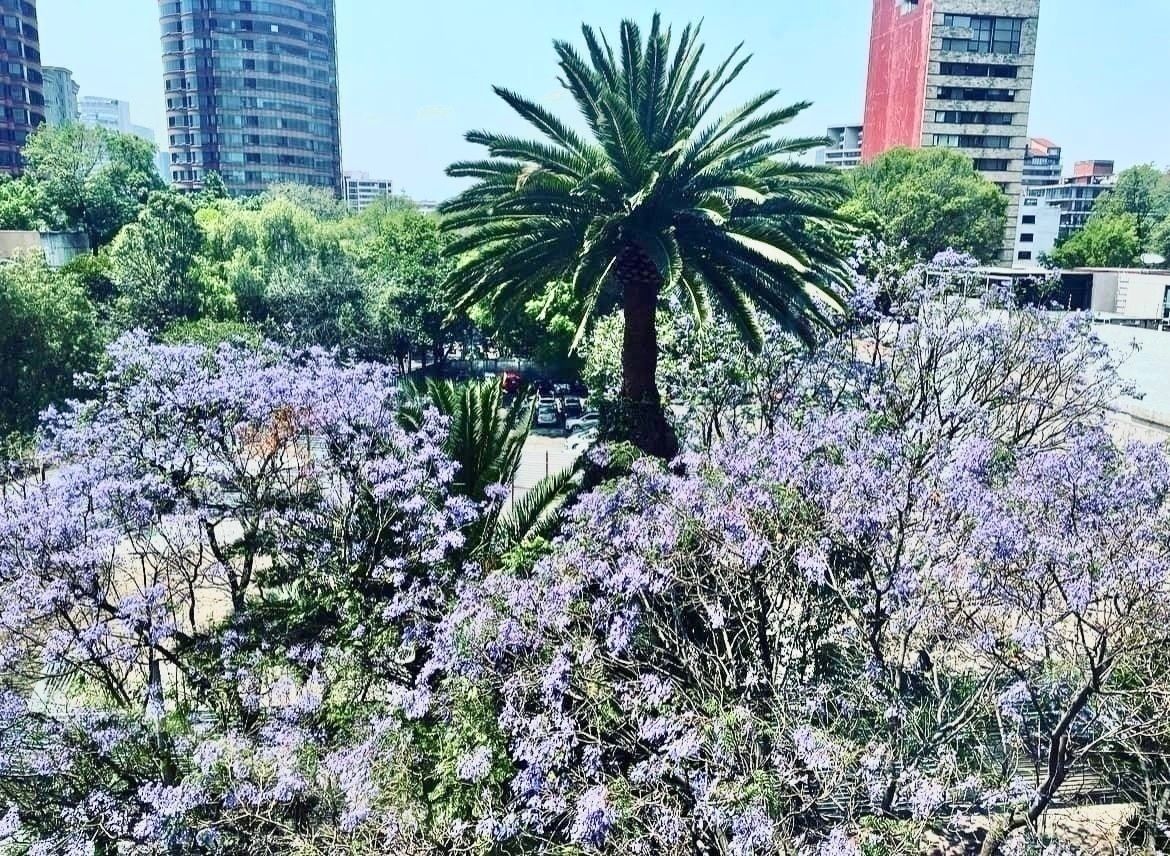 Departamento en venta · Polanco I Sección, Polanco, Miguel Hidalgo, Ciudad de México