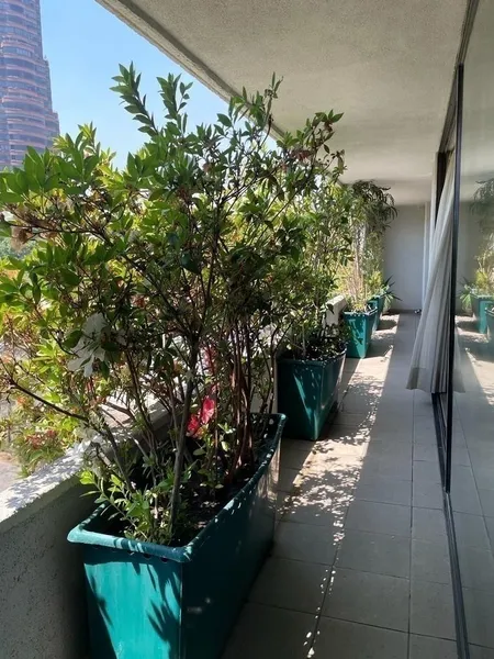 Foto 13