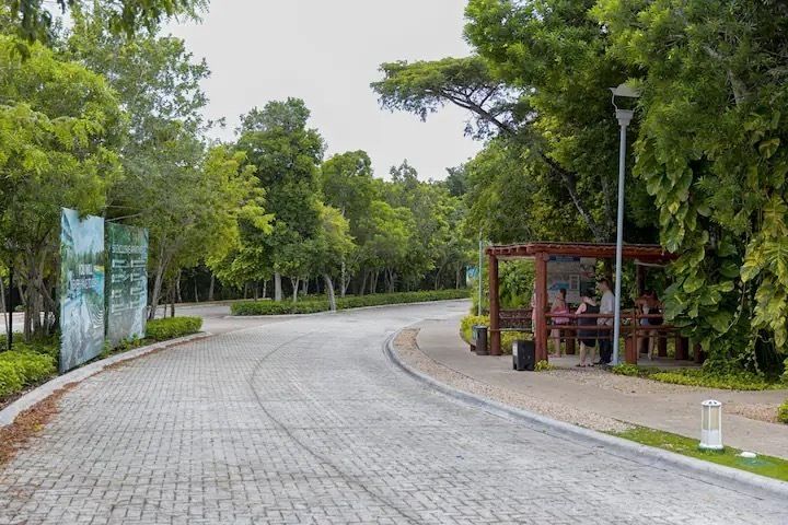 Foto 43