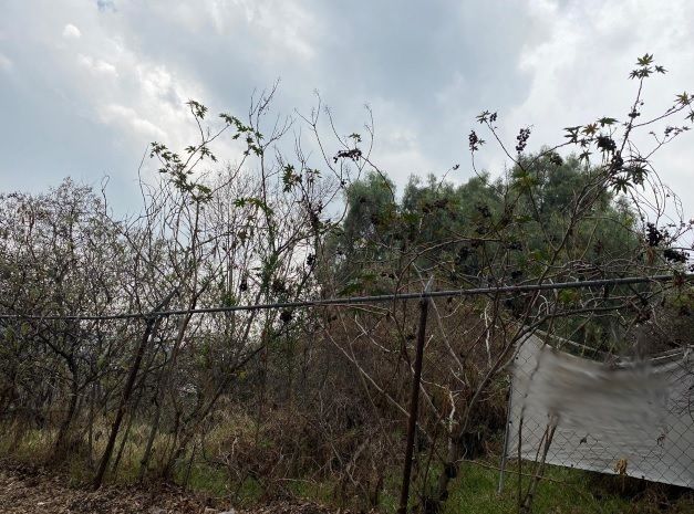 Lote en venta · La Herradura, Huixquilucan, Estado de México
