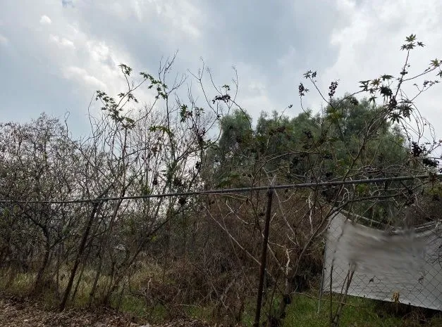 Lote en venta · La Herradura, Huixquilucan, Estado de México